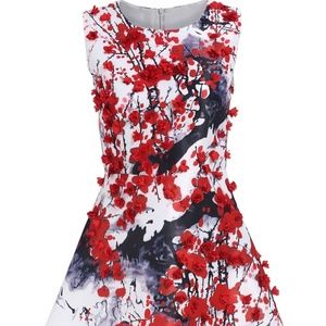 Sleeveless White and Red Applique Floral Dress